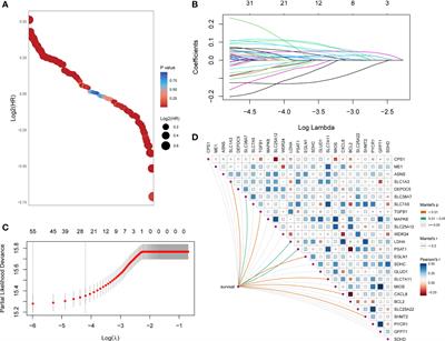 Turbulence of glutamine metabolism in pan-cancer prognosis and immune microenvironment